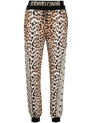 Roberto Cavalli leopard-print cotton track pant - Neutrals