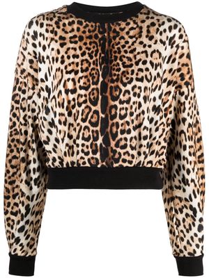 Roberto Cavalli leopard-print cropped sweatshirt - Neutrals