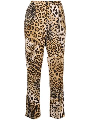 Roberto Cavalli leopard-print cropped trousers - Neutrals