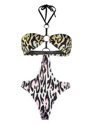 Roberto Cavalli leopard-print cut-out swimsuit - White