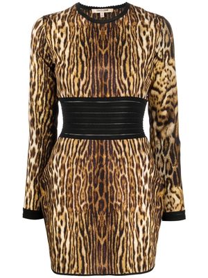Roberto Cavalli leopard-print fitted minidress - Brown