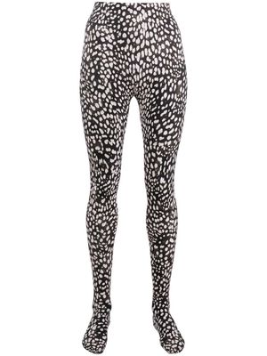 Roberto Cavalli leopard-print high-waisted leggings - Black