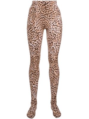 Roberto Cavalli leopard-print high-waisted leggings - Brown