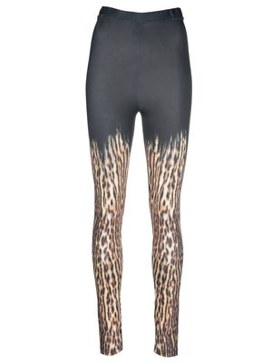 Roberto Cavalli leopard-print leggings - Black