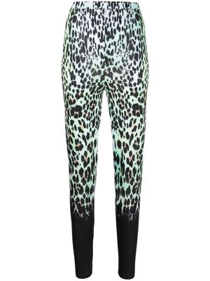 Roberto Cavalli leopard-print leggings - Green