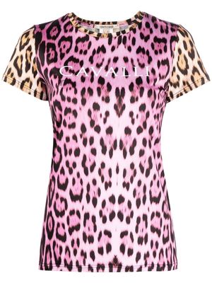 Roberto Cavalli leopard-print logo T-shirt - Pink