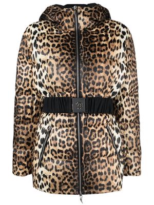 Roberto Cavalli leopard-print padded jacket - Neutrals