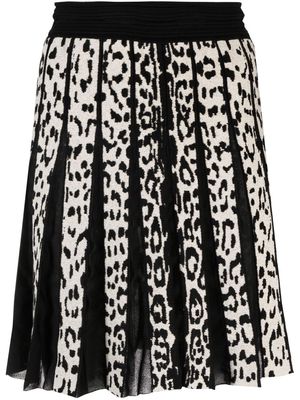 Roberto Cavalli leopard print pleated skirt - Black