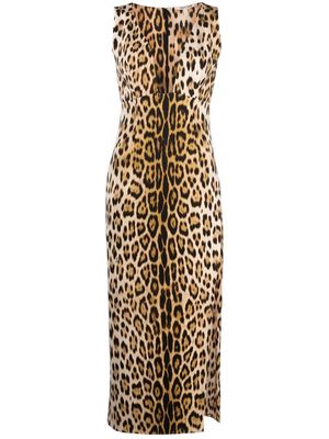Roberto Cavalli leopard-print plunge midi dress - Neutrals
