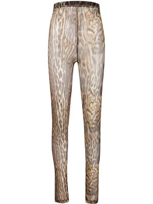 Roberto Cavalli leopard print sheer leggings - Brown
