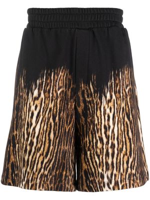 Roberto Cavalli leopard-print track shorts - Black