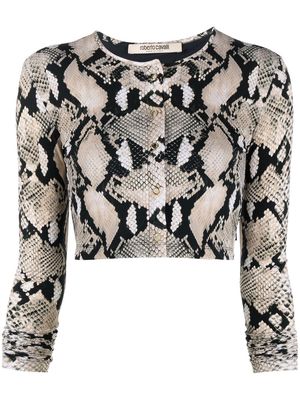 Roberto Cavalli python-print long-sleeved top - Neutrals