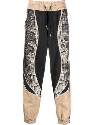 Roberto Cavalli snake-print panelled track pants - 05051