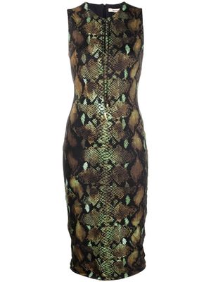 Roberto Cavalli snake-print sleeveless midi dress - Neutrals