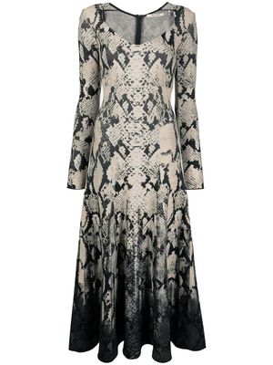 Roberto Cavalli snakeprint midi dress - Neutrals