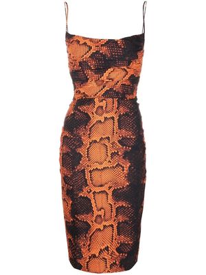 Roberto Cavalli snakeskin-print fitted midi dress - Orange
