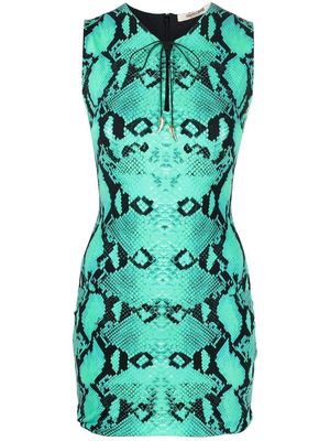 Roberto Cavalli snakeskin-print fitted mini dress - Blue
