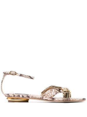 Roberto Cavalli snakeskin print flat sandals - Neutrals