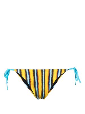 Roberto Cavalli stripe-print bikini bottoms - Yellow