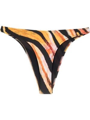 Roberto Cavalli tiger-print bikini bottoms - Orange