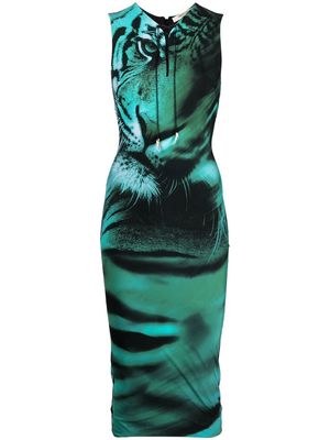Roberto Cavalli tiger-print midi dress - Green