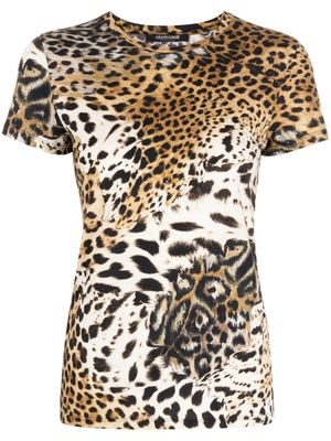 Roberto Cavalli tiger-print short-sleeve T-shirt - Multicolour