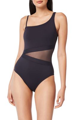Rod Beattie Don't Mesh with Me One-Shoulder One-Piece Swimsuit in Black