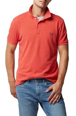 Rodd & Gunn Gunn Piqué Sports Fit Cotton Polo in Fiesta