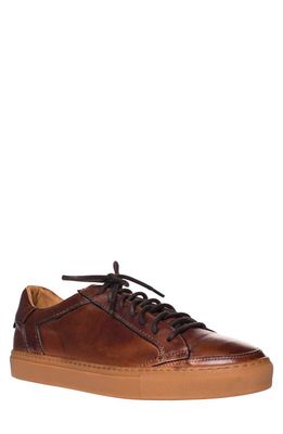 Ron White Denley Weatherproof Sneaker in Whiskey 