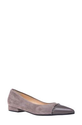 Ron White Kenlee Pointed Cap Toe Flat in Dove