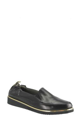 Ron White Niki Water Resistant Loafer in Onyx