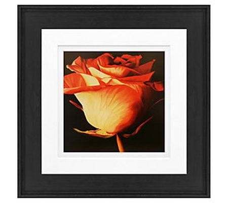 Rose I Framed Art by Timeless Frames and Decor