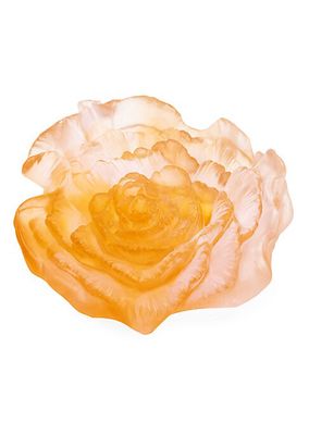 Rose Royale Flower