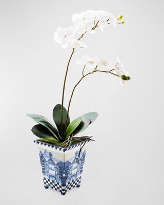Royal Toile Large Potted Orchid