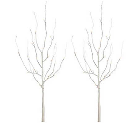 S/2, 39.76-In B/O Illuminated White Branch, Tim er by Gerson Co