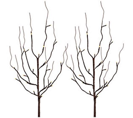 S/2, 39-In B/O Illuminated Brown Branch w Timer by Gerson Co