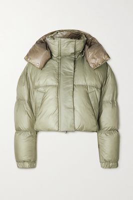 Sacai - Cropped Hooded Padded Shell Jacket - Green