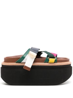 sacai hybrid belt leather sandals - Brown