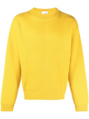 SAGE NATION ribbed-knit wool jumper - Yellow