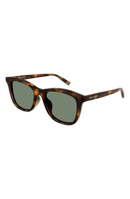 Saint Laurent 53mm Rectangular Sunglasses in Havana
