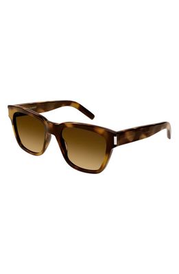 Saint Laurent 54mm Square Sunglasses in Havana