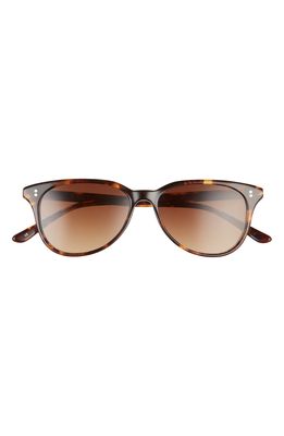 SALT. Airlie Polarized Round Sunglasses in Antique Leaves/Brown Gradient