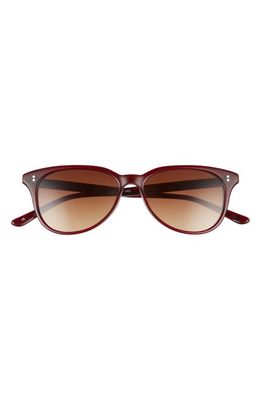 SALT. Airlie Polarized Round Sunglasses in Redwood/Brown Gradient