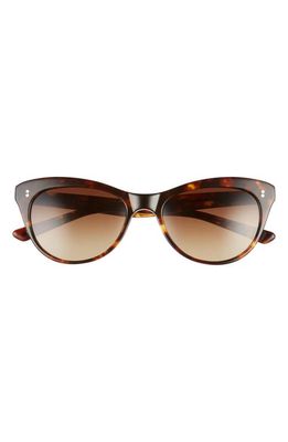 SALT. Hillier 55mm Polarized Cat Eye Sunglasses in Toasted Toffee