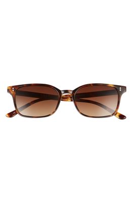 SALT. Livingston 53mm Polarized Square Sunglasses in Antique Leaves/Brown Gradient