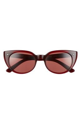 SALT. Taylor 52mm Polarized Cat Eye Sunglasses in Redwood/Red
