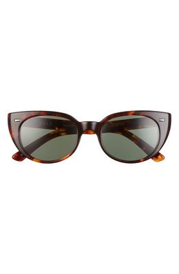 SALT. Taylor 52mm Polarized Cat Eye Sunglasses in Toasted Toffee/G-15