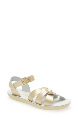 Salt Water Sandals by Hoy Swimmer Sandal in Gold