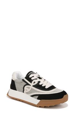 Sam Edelman Luna Sneaker in Black/Custard