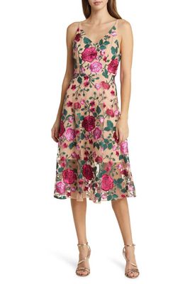 Sam Edelman Rose Embroidery Sleeveless A-Line Dress in Blush Multi